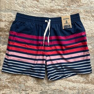 Chubbies Men's Multicolor Striped Swim Trunks - Size XL